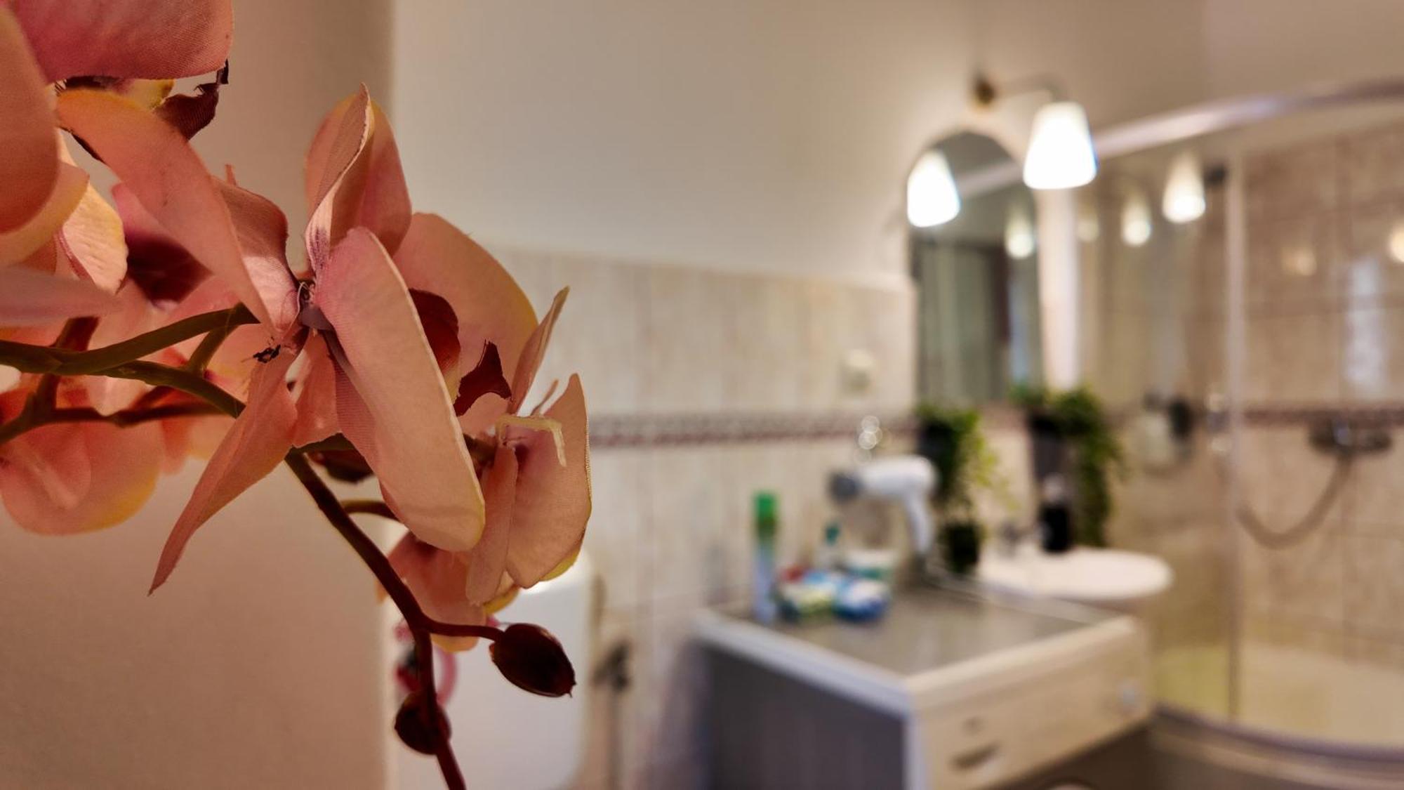Intimo Oldtown Romantic Apartment บราชอฟ ภายนอก รูปภาพ